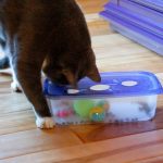 Featured-Cat-Hacks