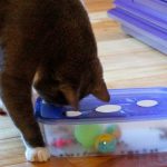 Featured-Cat-Hacks-FB