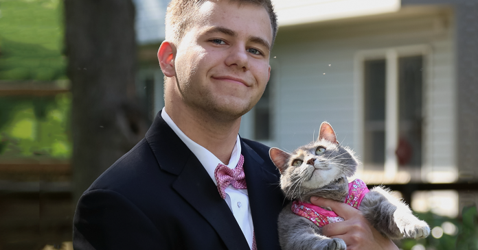 featured-cat-prom