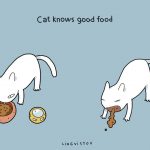 21-Benefits-of-Having-a-Cat-Book-18