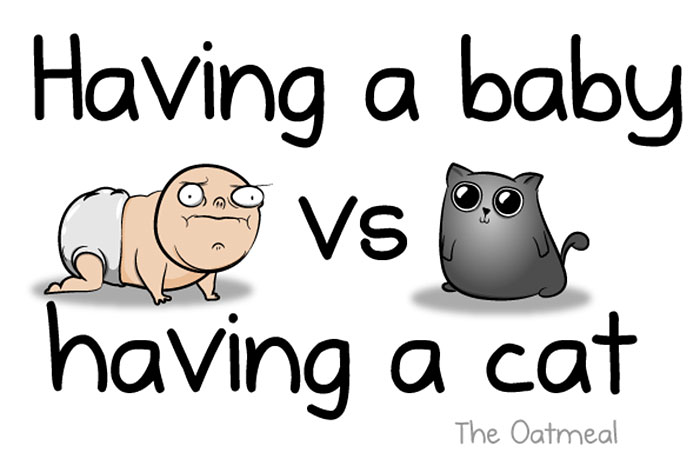 baby-vs-cat-oatmeal-comics-1
