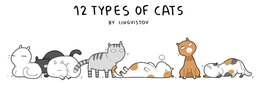 12-types-of-cats