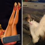 Featured-Cats-Pin-Up-Girls