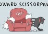 The 12 Types Of Cats, Which One Is Yours?