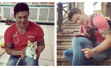Man Dedicates Life To Rescuing Homeless Cats As He Travels The Globe