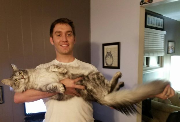 Super Fluffy Cat Has Longest Tail In The World…And Still Growing…. | Catlov