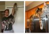 Super Fluffy Cat Has Longest Tail In The World…And Still Growing….