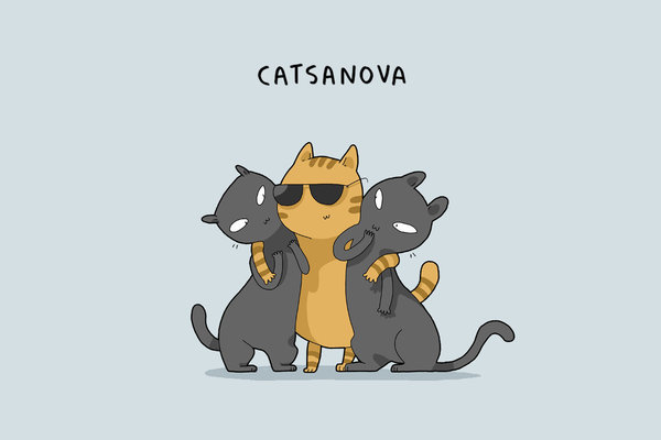 types-cats-05