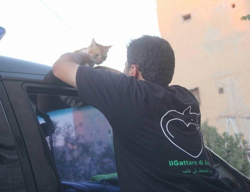 aleppo-cat-man-03