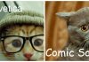 20 Versions Of Cats As Fonts….Hilarious