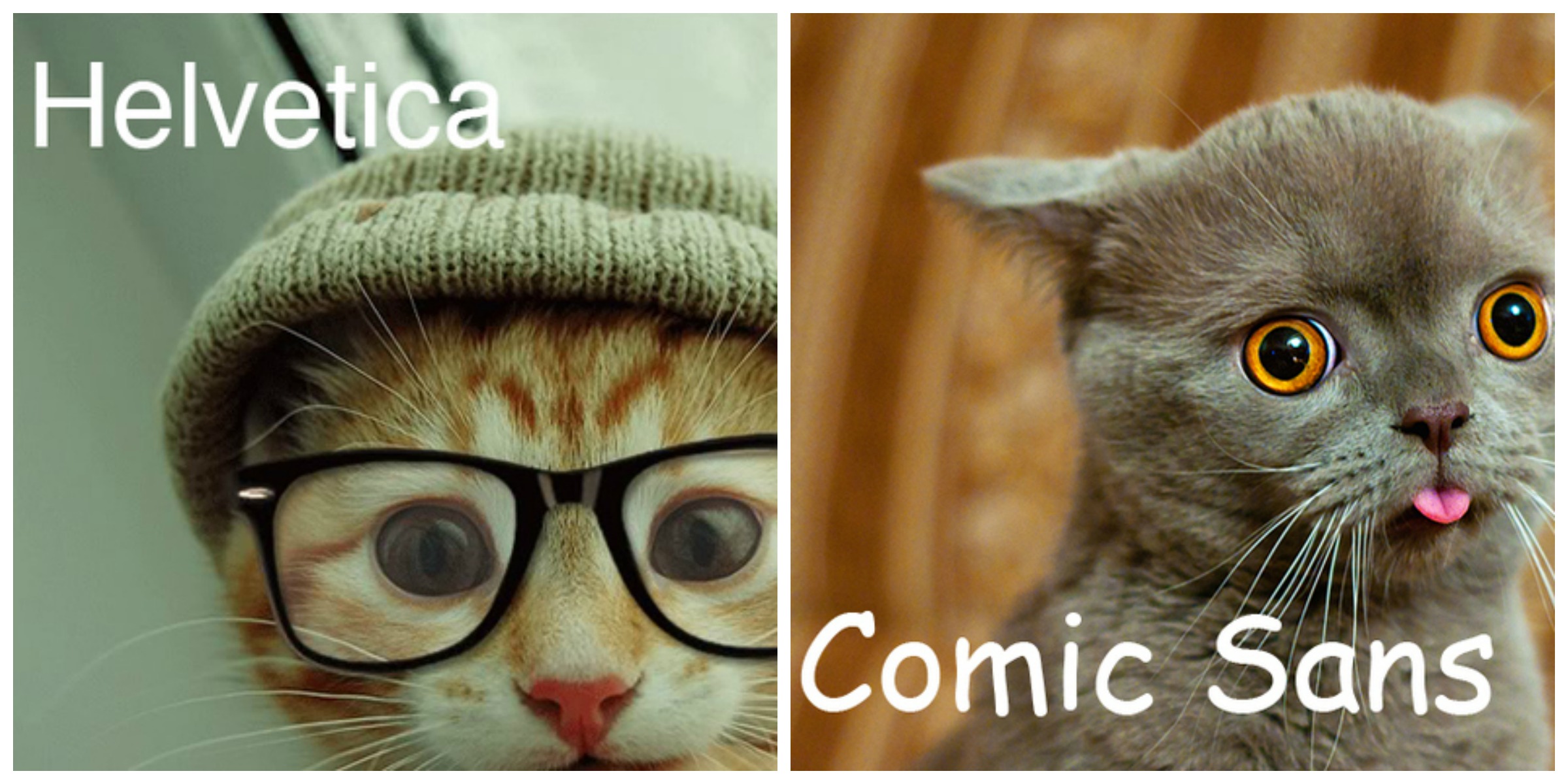 20 Versions Of Cats As Fonts….Hilarious Catlov