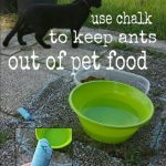 cat-hacks-21