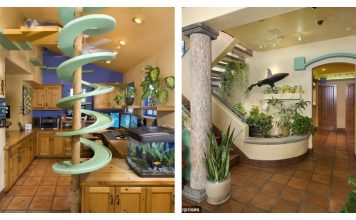 Man Turns His Home Into A Cat Playground Paradise For $35K