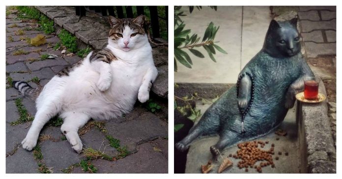 statue-kitty-feature