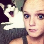 cat-photobomb-05