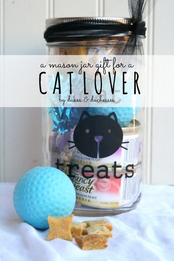 diy-cat-lady-gifts-04
