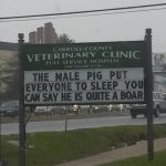 funny-vets-08