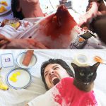 movie-cats-recreate-famous-movie-scenes-alien