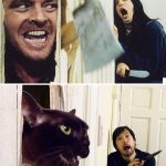 movie-cats-recreate-famous-movie-scenes-the-shining