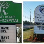 vet-cat-signs-feature