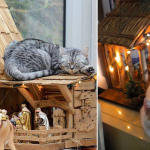 featured-cats-nativity-scenes-fb