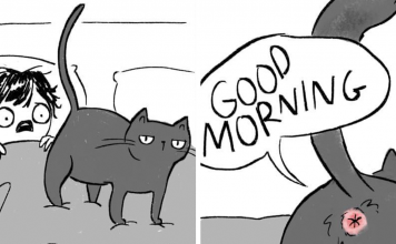 20+ What It’s Like To Live With Cats Illustrations