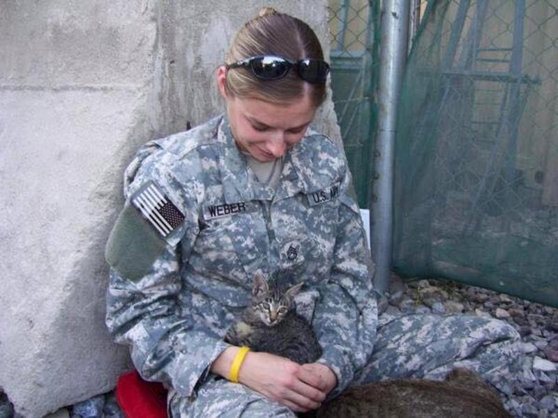 soldier-sick-kitten-1