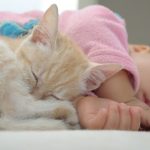 babies-cats-1