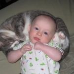 babies-cats-11