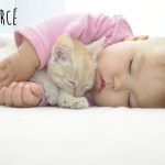 babies-cats-14