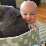 babies-cats-16