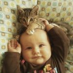 babies-cats-22