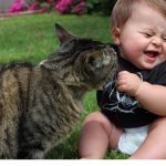 babies-cats-24