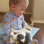 babies-cats-28