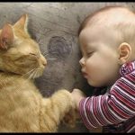 babies-cats-5