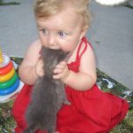 babies-cats-7