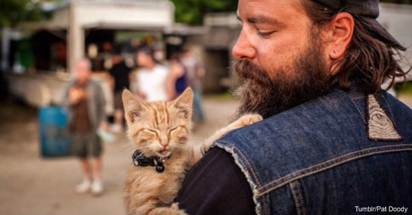 biker-cat-4