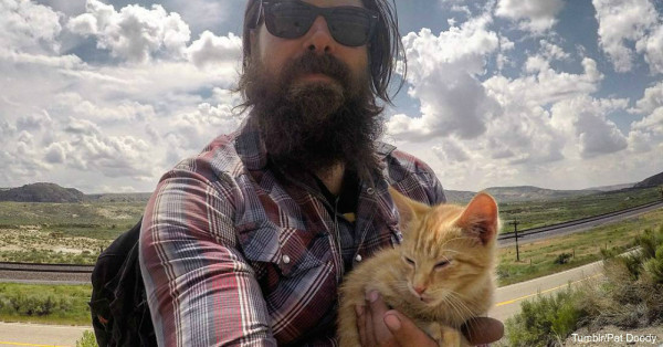 Biker With A Heart Of Gold Gives Kitten New Lease On Life Catlov