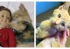 Injured Kitten Is Completely Transformed and Comforted When He Wears Doll Clothing