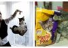 18 Cat Photographs Caught At The Perfect Time