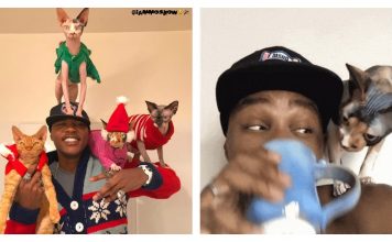 Rapper Who Always Disliked Cats, Now Can't Live Without Them, And Helps Them With His Music