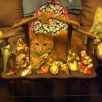 cats-nativity-scenes-05