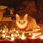 cats-nativity-scenes-06