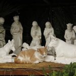 cats-nativity-scenes-08