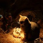 cats-nativity-scenes-09