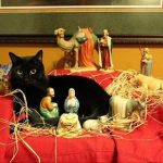 cats-nativity-scenes-10