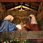 cats-nativity-scenes-14