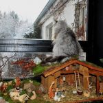 cats-nativity-scenes-16