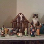 cats-nativity-scenes-17