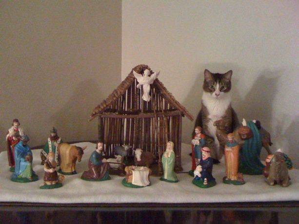 cats-nativity-scenes-17